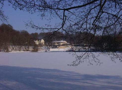 Hotel Villa Im Steinbusch مالينتي المظهر الخارجي الصورة