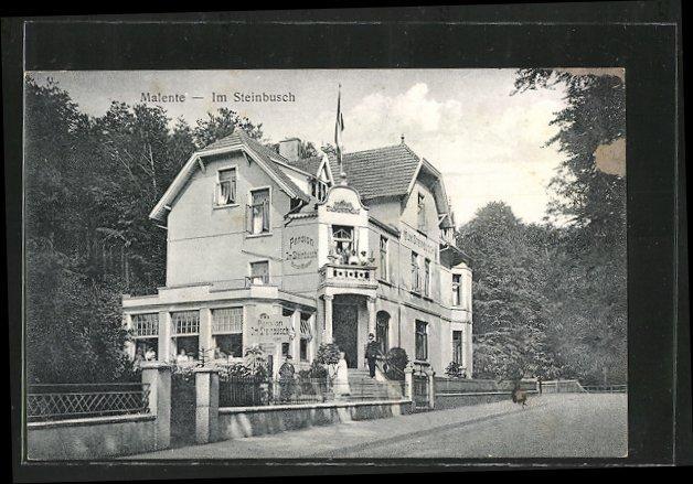 Hotel Villa Im Steinbusch مالينتي المظهر الخارجي الصورة